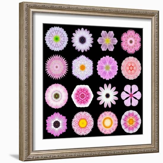 Big Collection of Various Pink Pattern Flowers-tr3gi-Framed Art Print