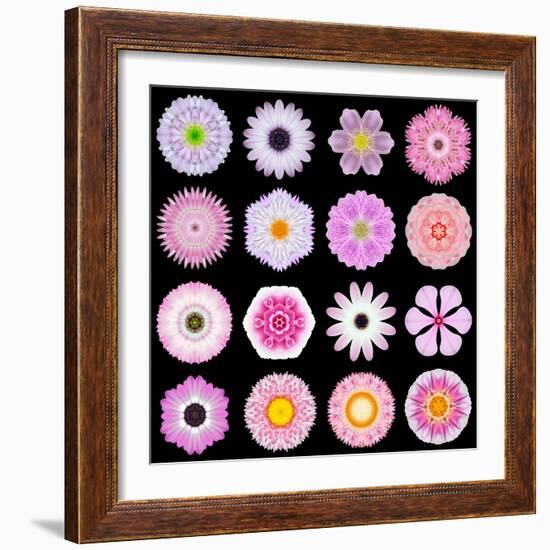 Big Collection of Various Pink Pattern Flowers-tr3gi-Framed Art Print