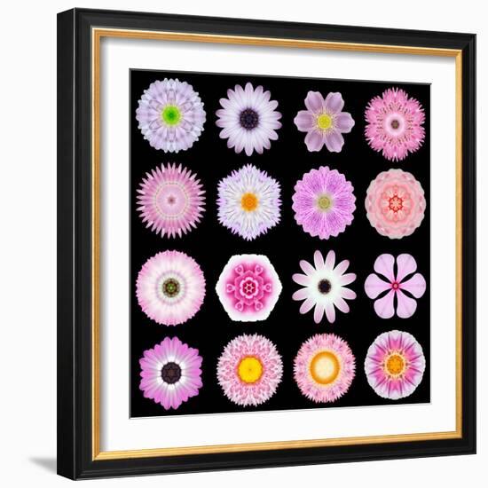 Big Collection of Various Pink Pattern Flowers-tr3gi-Framed Art Print