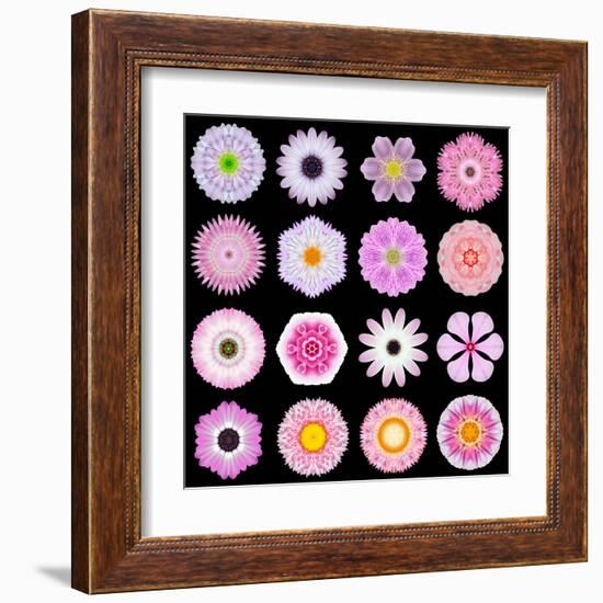 Big Collection of Various Pink Pattern Flowers-tr3gi-Framed Art Print