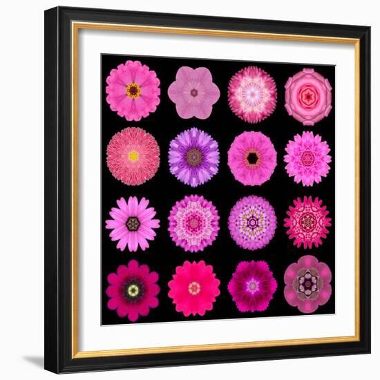 Big Collection of Various Purple Pattern Flowers-tr3gi-Framed Art Print