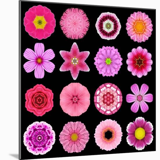 Big Collection of Various Purple Pattern Flowers-tr3gi-Mounted Art Print