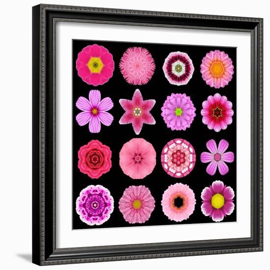 Big Collection of Various Purple Pattern Flowers-tr3gi-Framed Art Print