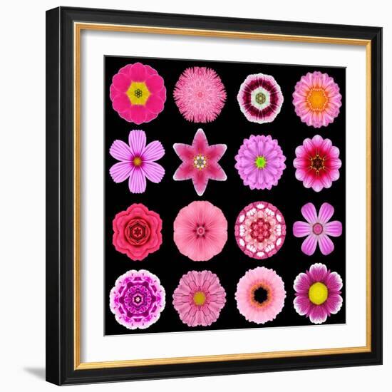 Big Collection of Various Purple Pattern Flowers-tr3gi-Framed Art Print