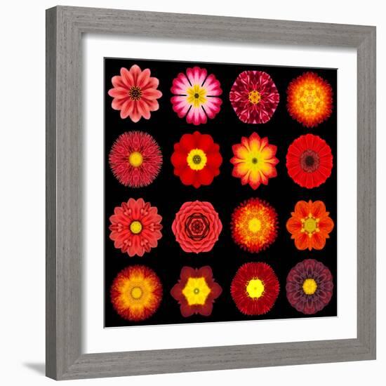 Big Collection of Various Red Pattern Flowers-tr3gi-Framed Art Print