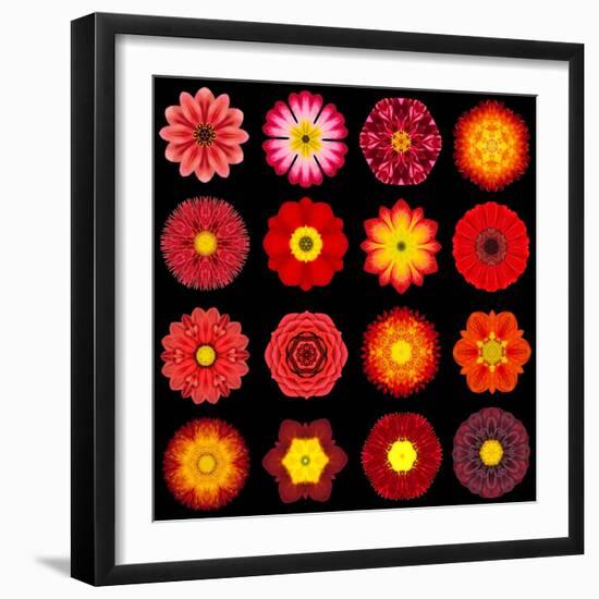 Big Collection of Various Red Pattern Flowers-tr3gi-Framed Art Print