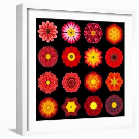 Big Collection of Various Red Pattern Flowers-tr3gi-Framed Art Print