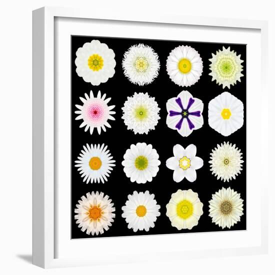 Big Collection of Various White Pattern Flowers-tr3gi-Framed Art Print