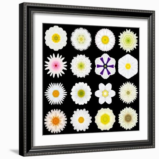 Big Collection of Various White Pattern Flowers-tr3gi-Framed Art Print