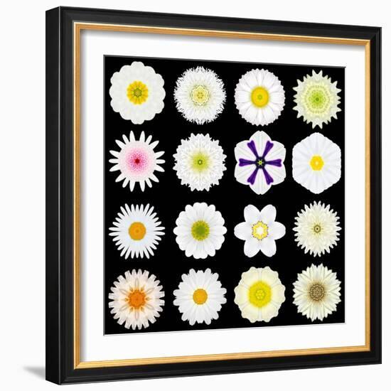 Big Collection of Various White Pattern Flowers-tr3gi-Framed Art Print