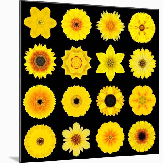 Big Collection of Various Yellow Pattern Flowers-tr3gi-Mounted Art Print