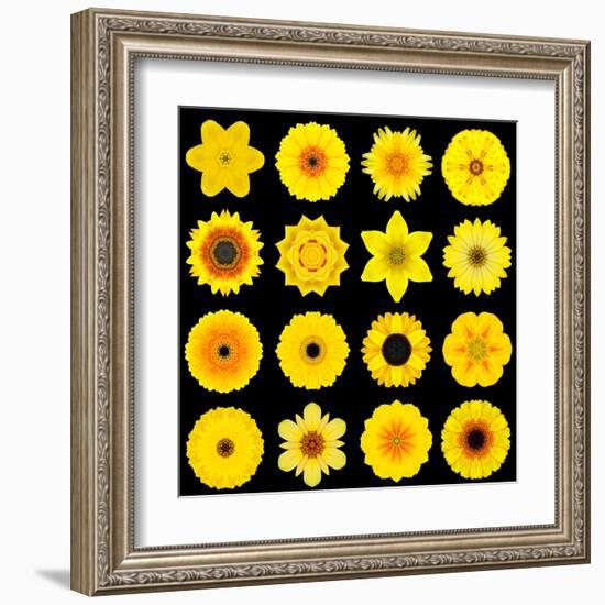 Big Collection of Various Yellow Pattern Flowers-tr3gi-Framed Art Print