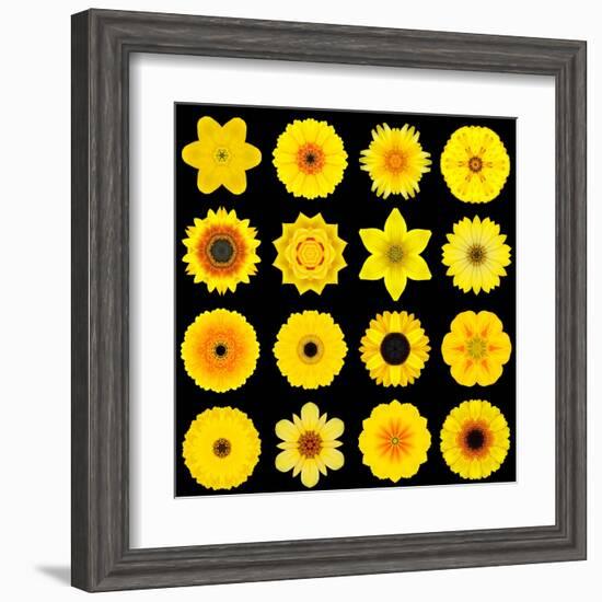 Big Collection of Various Yellow Pattern Flowers-tr3gi-Framed Art Print