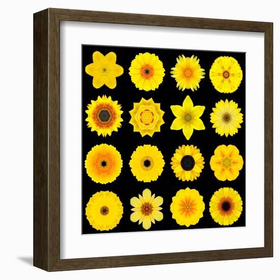 Big Collection of Various Yellow Pattern Flowers-tr3gi-Framed Art Print