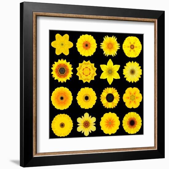 Big Collection of Various Yellow Pattern Flowers-tr3gi-Framed Art Print