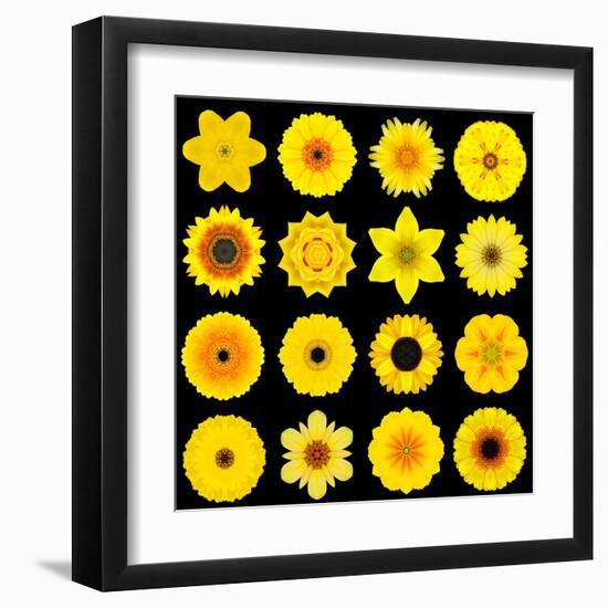 Big Collection of Various Yellow Pattern Flowers-tr3gi-Framed Art Print