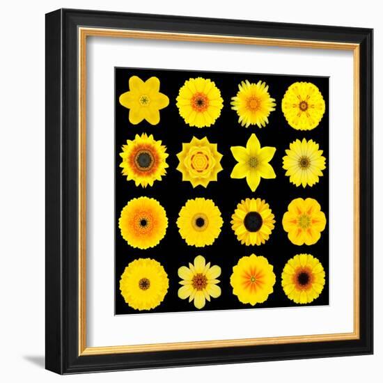 Big Collection of Various Yellow Pattern Flowers-tr3gi-Framed Art Print