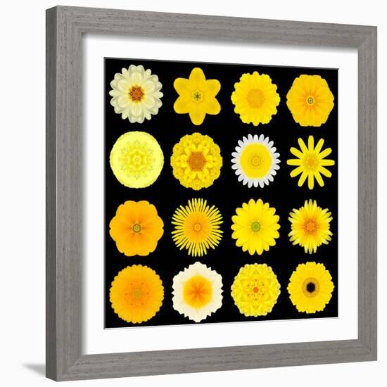 Big Collection of Various Yellow Pattern Flowers-tr3gi-Framed Art Print