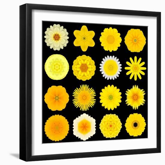 Big Collection of Various Yellow Pattern Flowers-tr3gi-Framed Art Print