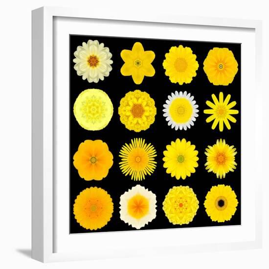 Big Collection of Various Yellow Pattern Flowers-tr3gi-Framed Art Print