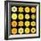 Big Collection of Various Yellow Pattern Flowers-tr3gi-Framed Art Print