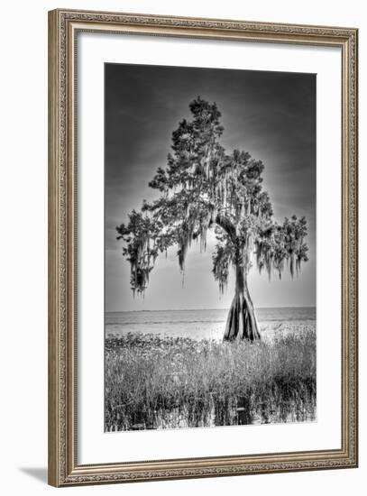 Big Cypress-Dennis Goodman-Framed Photographic Print