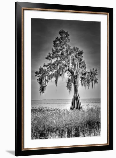 Big Cypress-Dennis Goodman-Framed Photographic Print