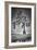 Big Cypress-Dennis Goodman-Framed Photographic Print