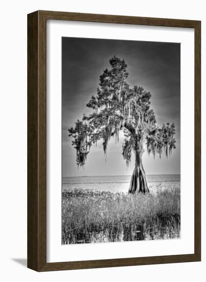 Big Cypress-Dennis Goodman-Framed Photographic Print