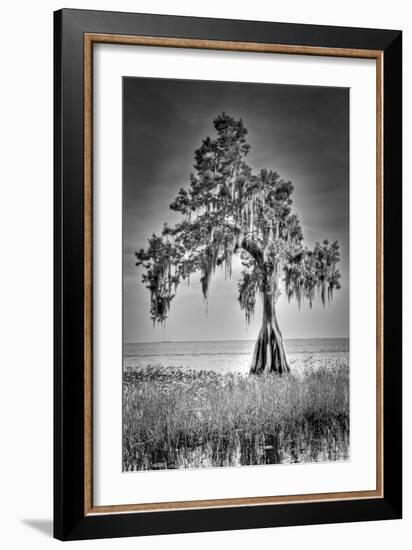 Big Cypress-Dennis Goodman-Framed Photographic Print