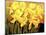 Big Daffodils-John Newcomb-Mounted Premium Giclee Print