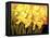 Big Daffodils-John Newcomb-Framed Premier Image Canvas