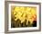 Big Daffodils-John Newcomb-Framed Giclee Print