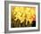 Big Daffodils-John Newcomb-Framed Giclee Print