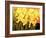 Big Daffodils-John Newcomb-Framed Giclee Print