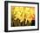 Big Daffodils-John Newcomb-Framed Giclee Print