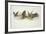 Big Dragons Eat Little Dragons, 1979-Wayne Anderson-Framed Giclee Print