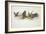 Big Dragons Eat Little Dragons, 1979-Wayne Anderson-Framed Giclee Print