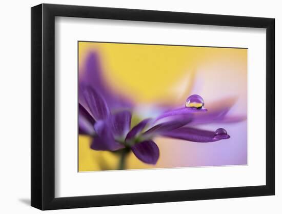 Big drop-Heidi Westum-Framed Photographic Print