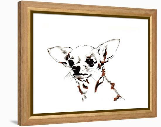 Big Ears the Chihuahua, 2012-Jo Chambers-Framed Premier Image Canvas