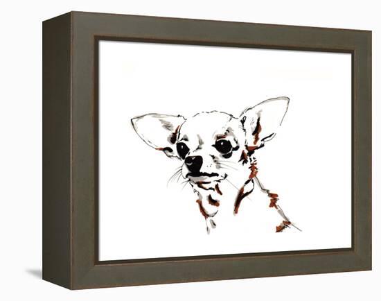 Big Ears the Chihuahua, 2012-Jo Chambers-Framed Premier Image Canvas