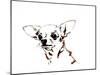 Big Ears the Chihuahua, 2012-Jo Chambers-Mounted Giclee Print