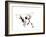 Big Ears the Chihuahua, 2012-Jo Chambers-Framed Giclee Print