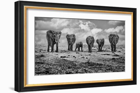 Big Family-Marcel Rebro-Framed Art Print