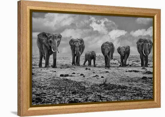 Big Family-Marcel Rebro-Framed Premier Image Canvas