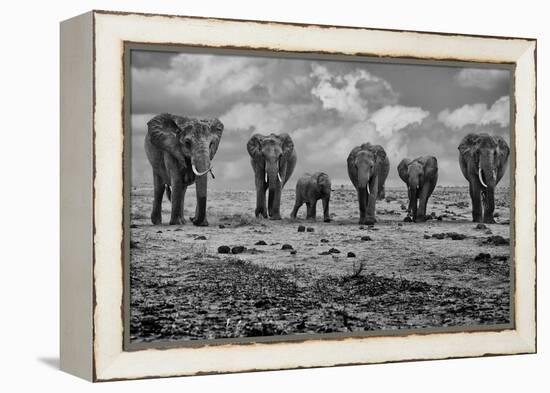 Big Family-Marcel Rebro-Framed Premier Image Canvas