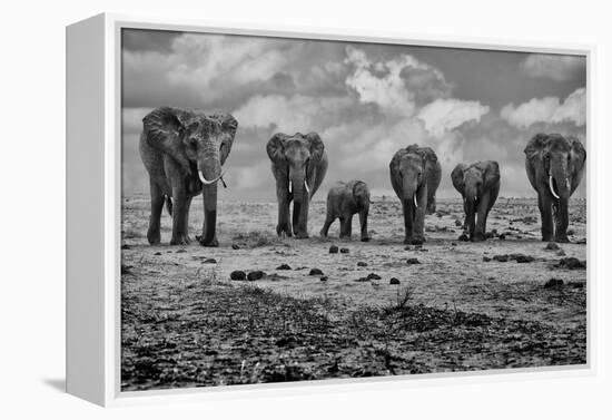 Big Family-Marcel Rebro-Framed Premier Image Canvas