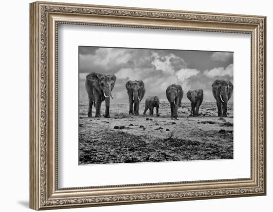 Big Family-Marcel Rebro-Framed Photographic Print