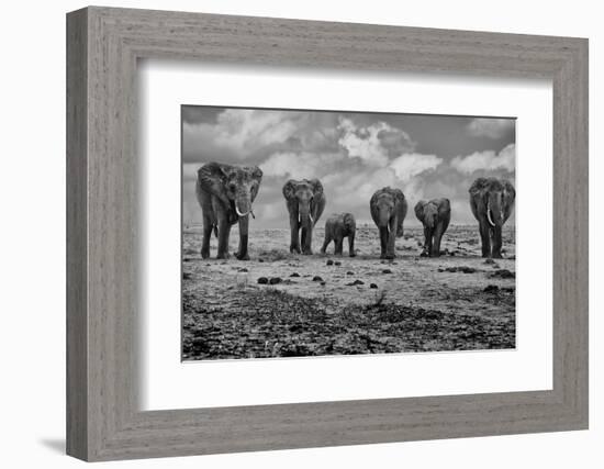 Big Family-Marcel Rebro-Framed Photographic Print