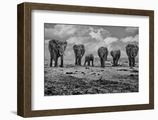 Big Family-Marcel Rebro-Framed Photographic Print